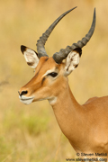 TANZANIA